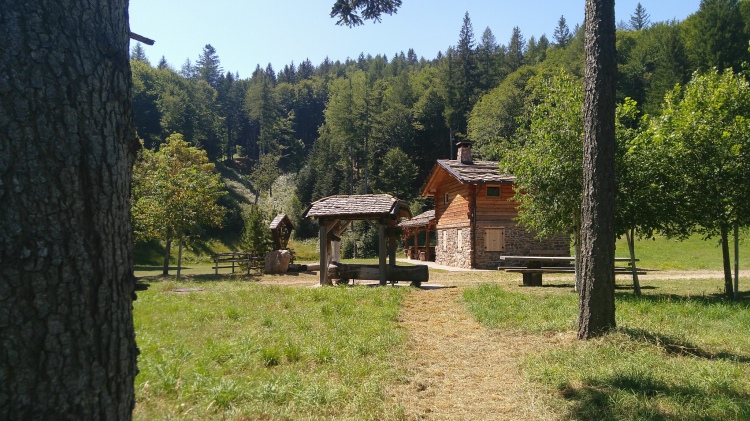 La Baita Forestale offre un bel prato circostante dove fermarsi per una pausa o un picnic.