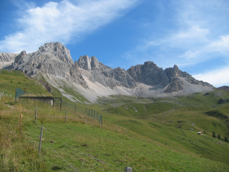 Le cime sovrastano il prato in tutta la loro bellezza. Il bianco dei pendii si mescola al verde dell'erba.