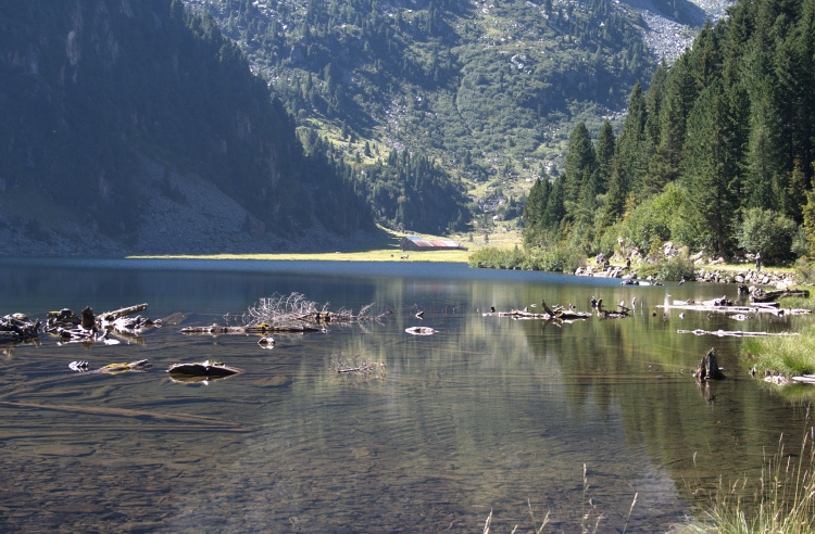 Arrivati in cima il Lago Lagorai ci mostra tutto il suo splendore. Nell'acqua pezzi di alberi.