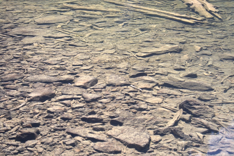 Da vicino, nell'acqua si vedono pietre e pezzi di legno.