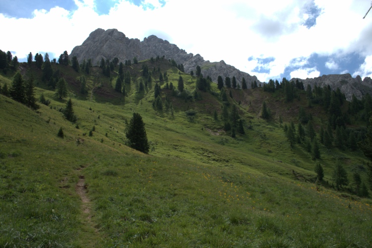 L'ultima parte del sentiero verso la Forcella sale su un prato.