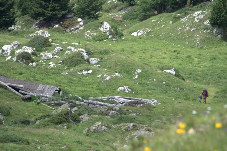 Un papà sale con un bimbo per il prato che porta alla Sella Palacia. Nel prato una capanna di legno distrutta e in primo piano, fuori fuoco, dei fiori.