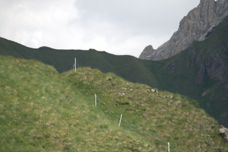 Una foto con un effetto strano sull'erba. Forse in un momento particolare di luce. Davanti prato, dietro roccia con verde, poi solo roccia.