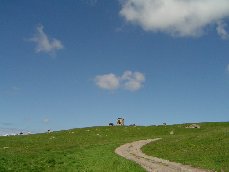 Il sentiero ci porta attraverso i pascoli in salita. In cima, all'orizzonte, una piccola casetta.