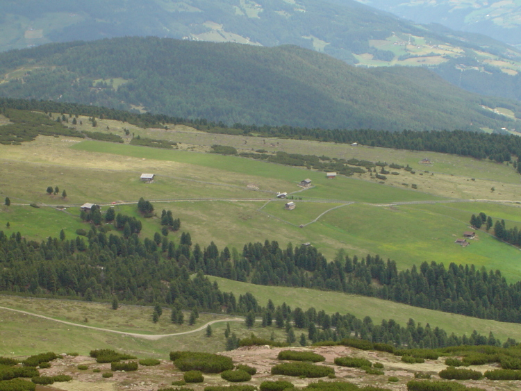 Vista panoramica. Macchie di bosco, prati e pascoli e alcune case.