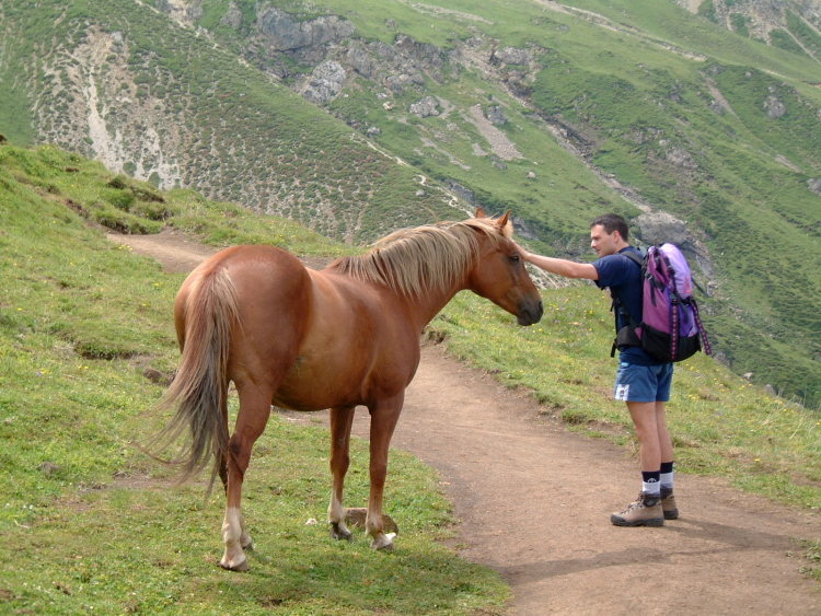 Sul sentiero incontro un cavallo. Lo accarezzo sul muso.