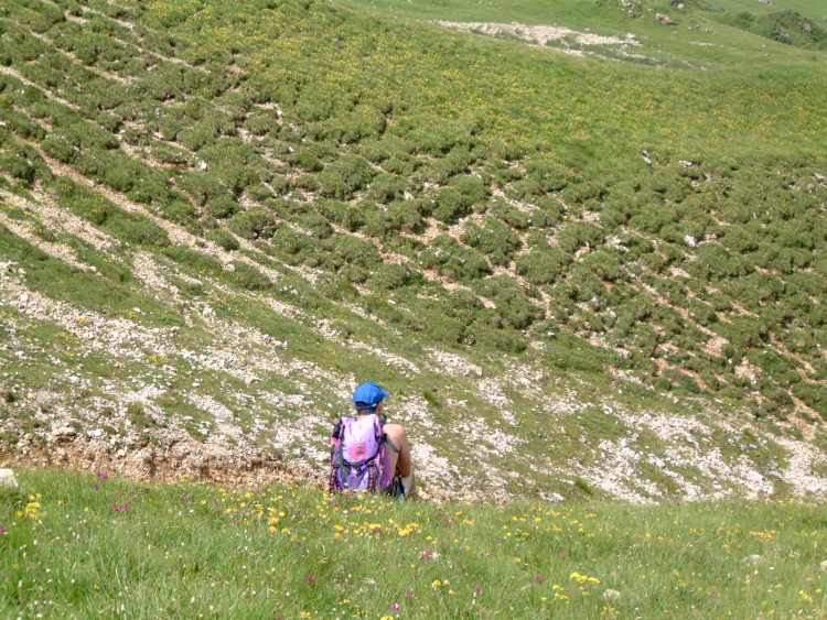 Io, pensoso, seduto in mezzo al pendio, fotografato da dietro. L'erba a tratti cresce a macchie.