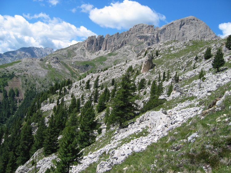 Il nostro sentiero prosegue sulla costa di una vallata. Sullo sfondo le cime del Catinaccio dal nostro versante, quello della Val di Fassa.