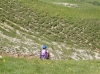 Pensieri